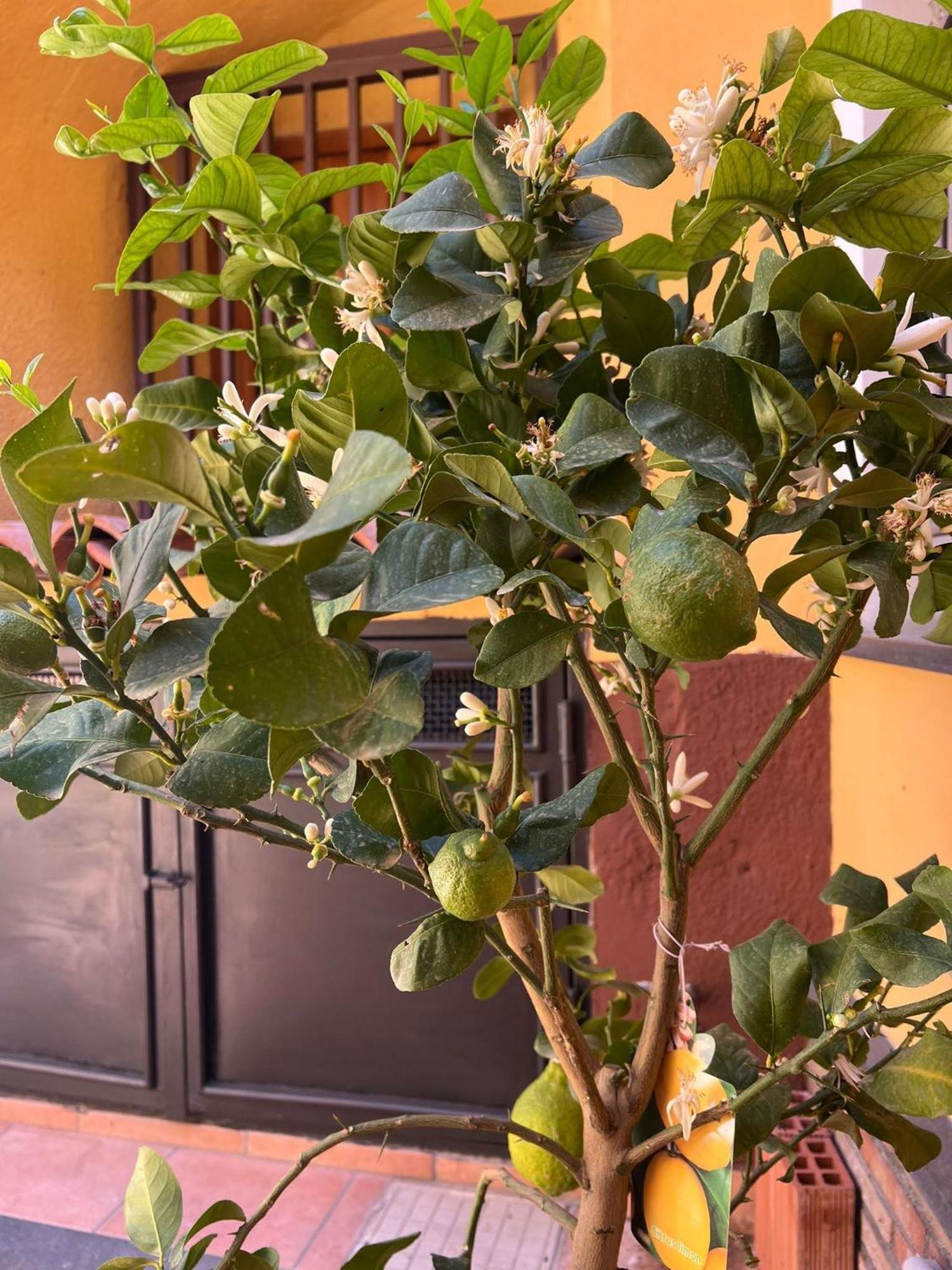Sabbenerica Apartment Catania Exterior photo